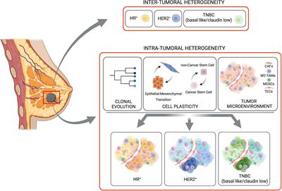 The role of tumor microenvironment in drug resistance: emerging technologies to unravel breast cancer heterogeneity